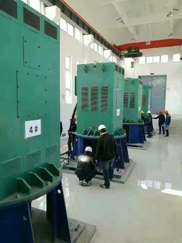JR137-6A某污水处理厂使用我厂的立式高压电机安装现场