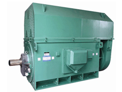 JR137-6AY系列6KV高压电机