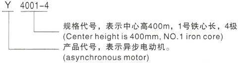 西安泰富西玛Y系列(H355-1000)高压JR137-6A三相异步电机型号说明