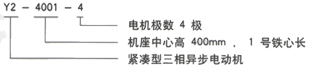 YR系列(H355-1000)高压JR137-6A三相异步电机西安西玛电机型号说明